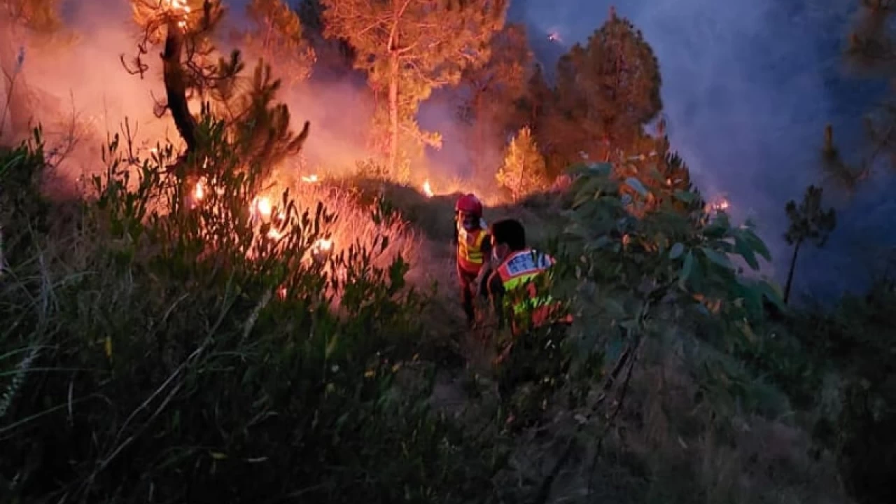 Four killed as wildfire rages across Shangla forests 