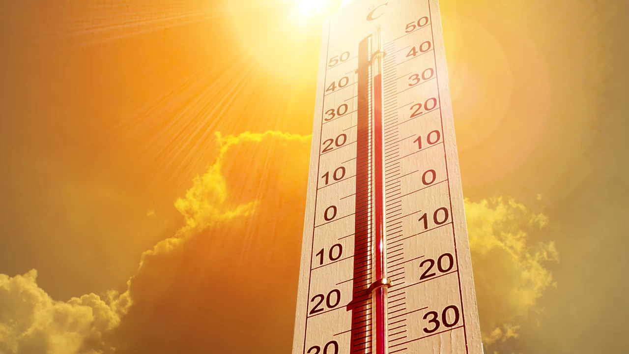 Heat wave conditions likely during next five days: Meteorological Department