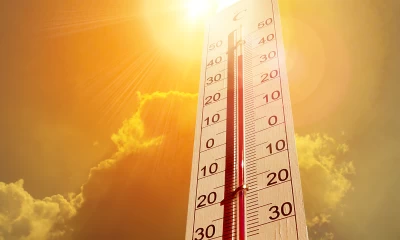 Heat wave conditions likely during next five days: Meteorological Department