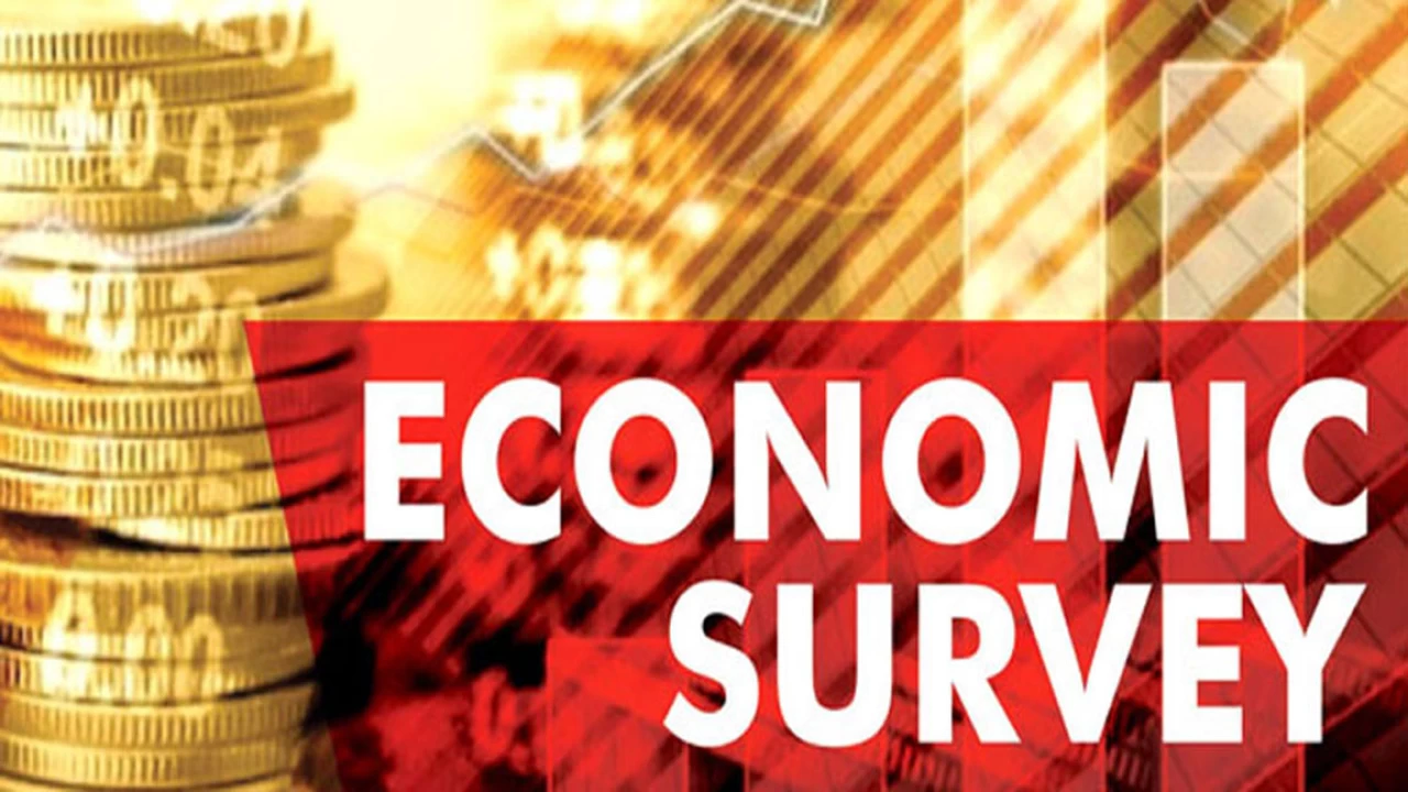 Federal govt launches Economic Survey 2021-22