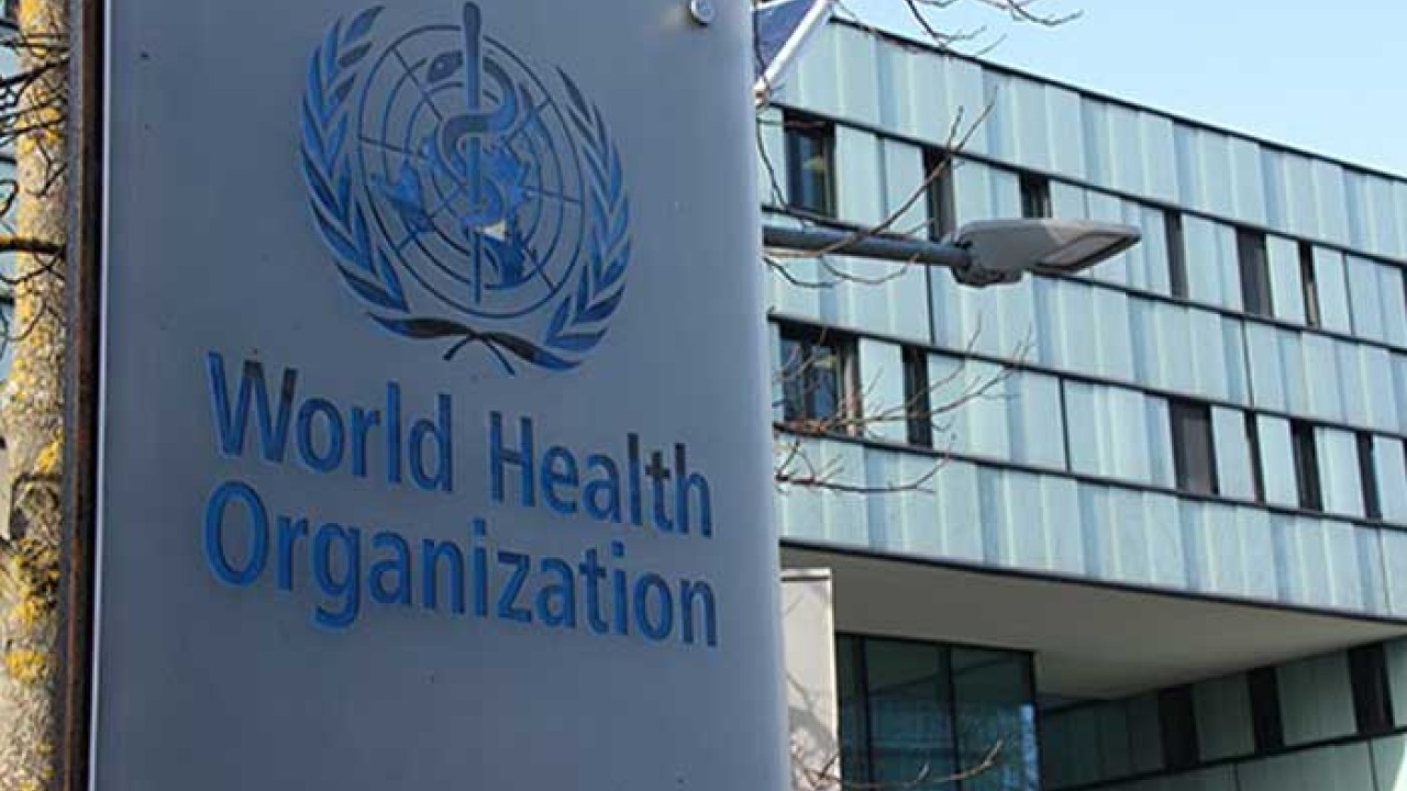 منکی پاکس بیماری کا مرکز یورپ ہے:  عالمی ادارہ صحت