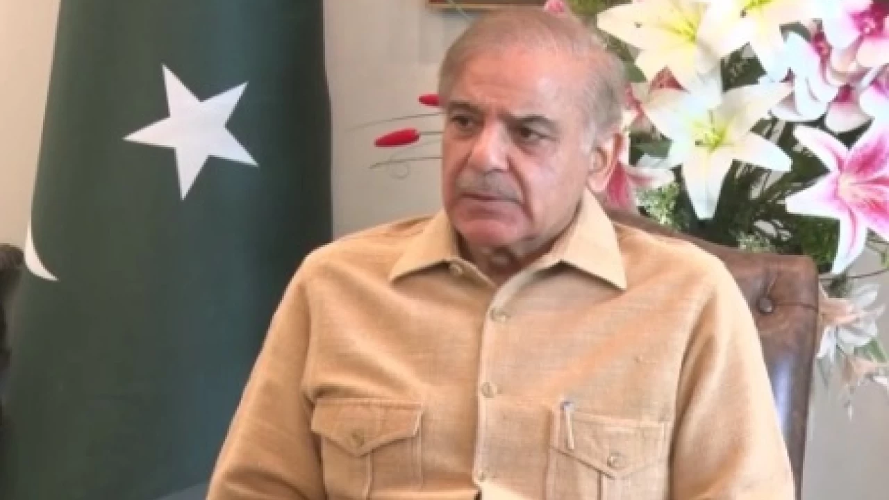 PM Shehbaz Sharif expresses grief over loss of precious lives due to earthquake in Afghanistan