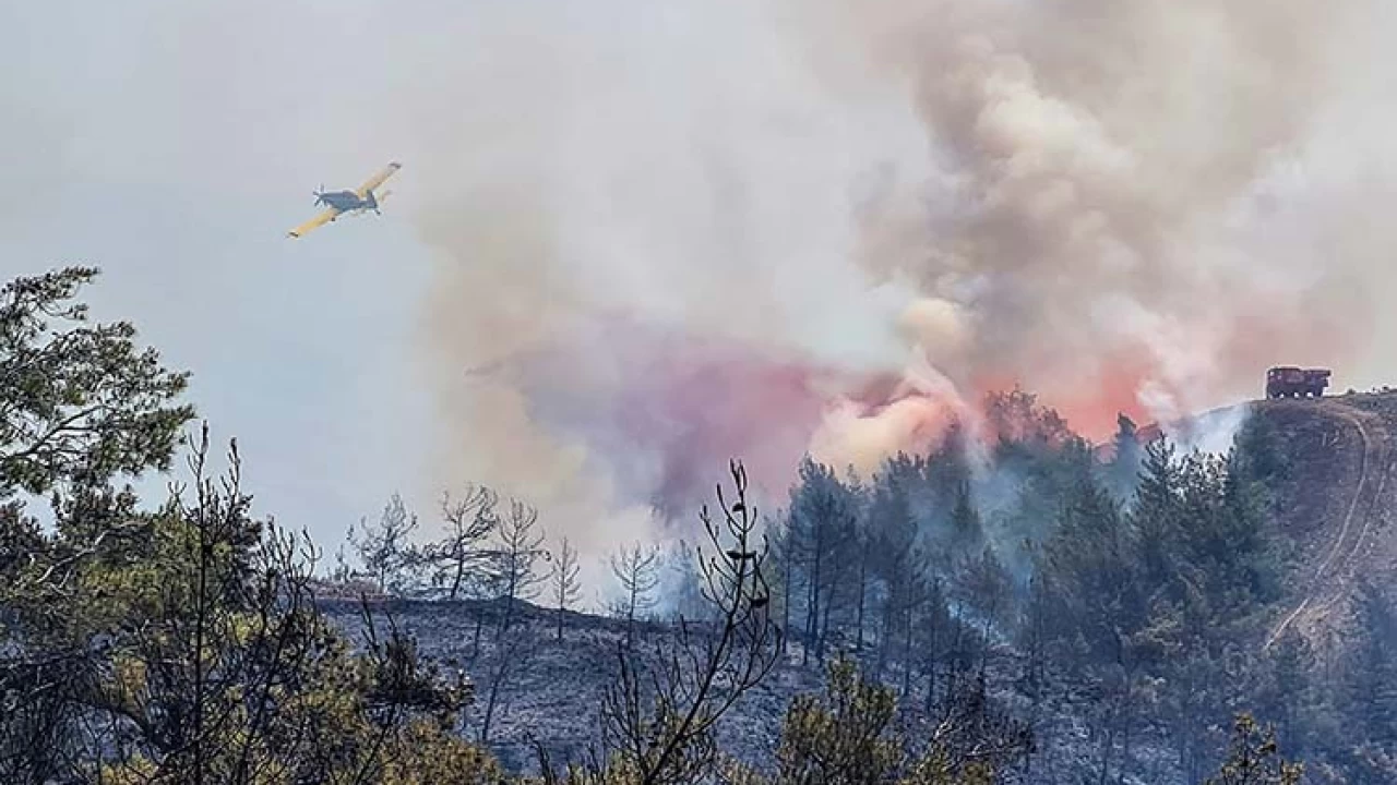 Wildfire in southwest Turkey rages on, dashing hopes it was contained
