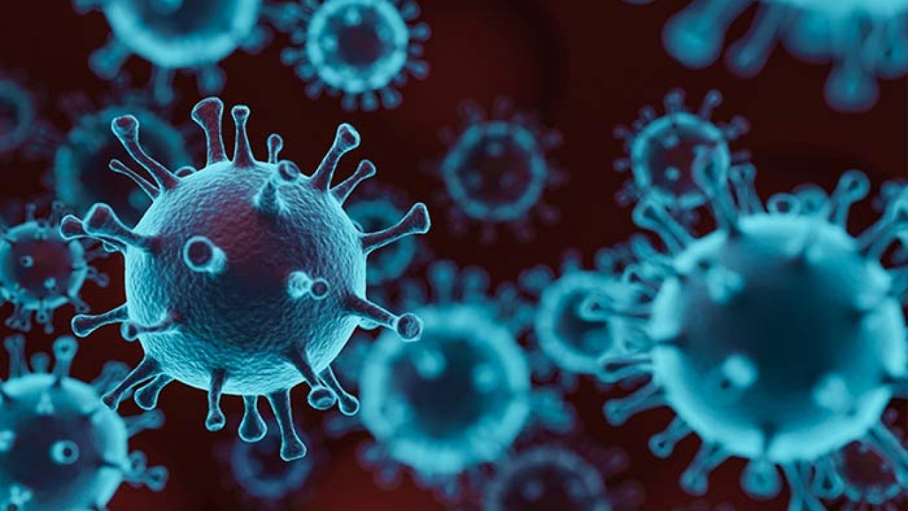 ملک میں کورونا وائرس سے مزید 67 اموات ،2 ہزار سے زائد متاثر