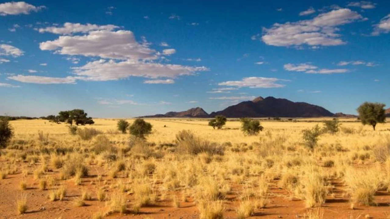 Mainly hot, dry weather likely to prevail in most parts of country