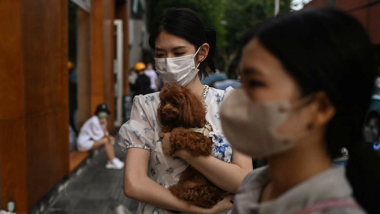 Shanghai reports zero Covid cases for first time since outbreak