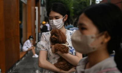 Shanghai reports zero Covid cases for first time since outbreak