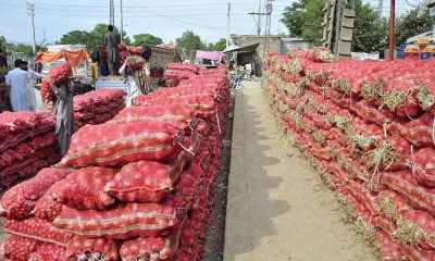 لاہور: ضلعی انتظامیہ کی جانب سے سبزیوں اور پھلوں کے سرکاری ریٹ جاری