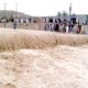 بلوچستان میں بارشوں سے تباہی ،  کوئٹہ آفت زدہ قرار