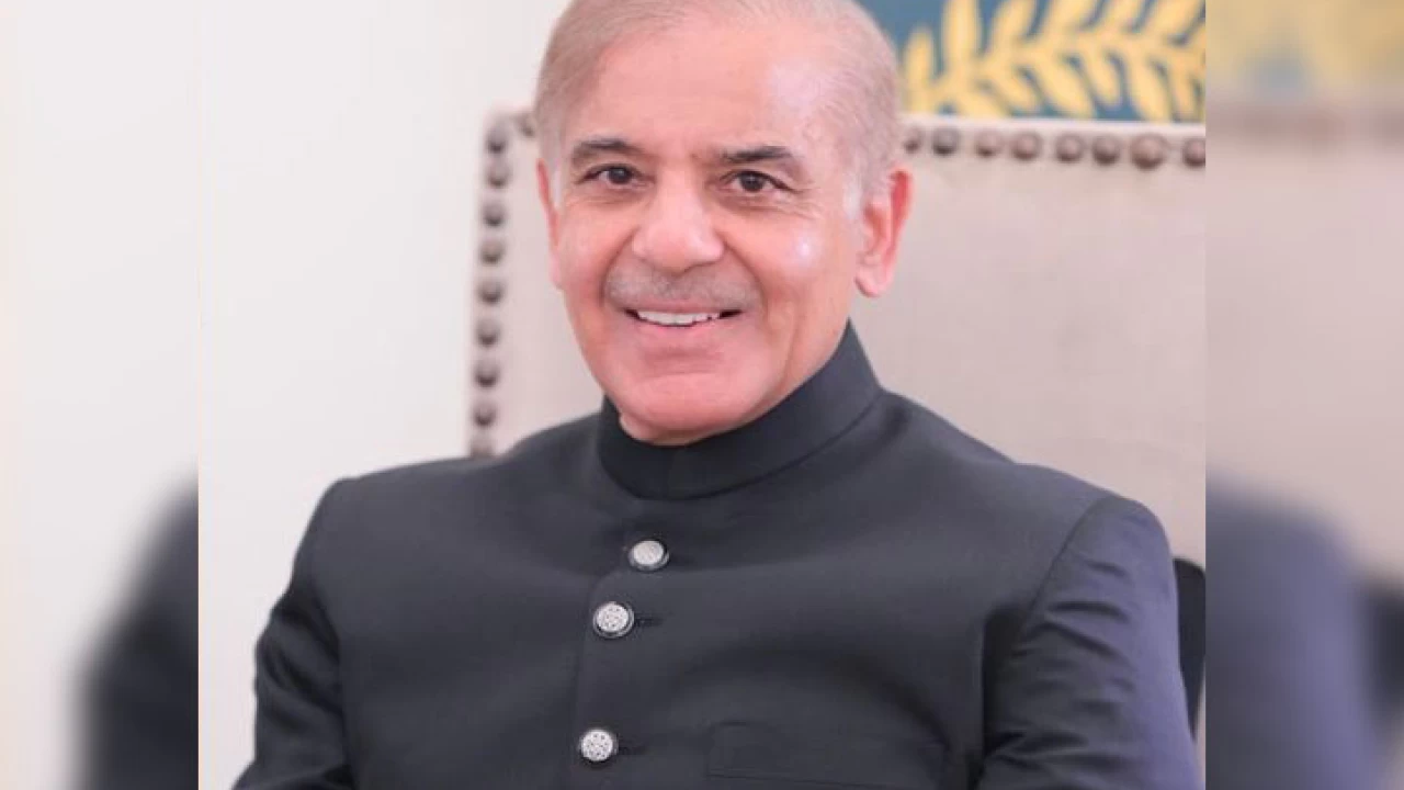 PM Shehbaz Sharif directs to simplify system of person-to-govt payments