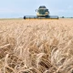 NASA data claims Russia has occupied 22pc of Ukraine farmland