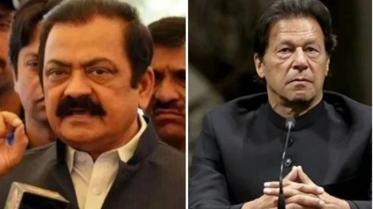 SC ruling on no-confidence motion: 'If cabinet grants permission, I'll arrest Imran': Sanaullah