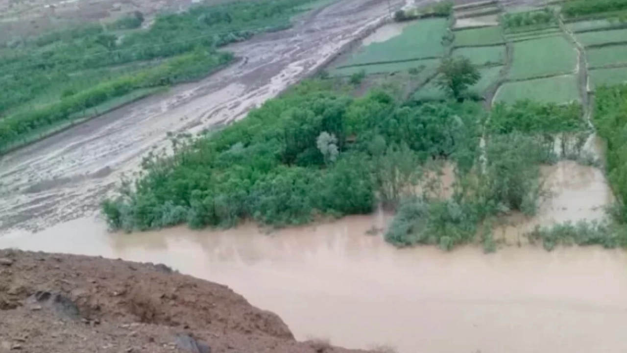 Death toll from heavy rains surges to 99: PDMA