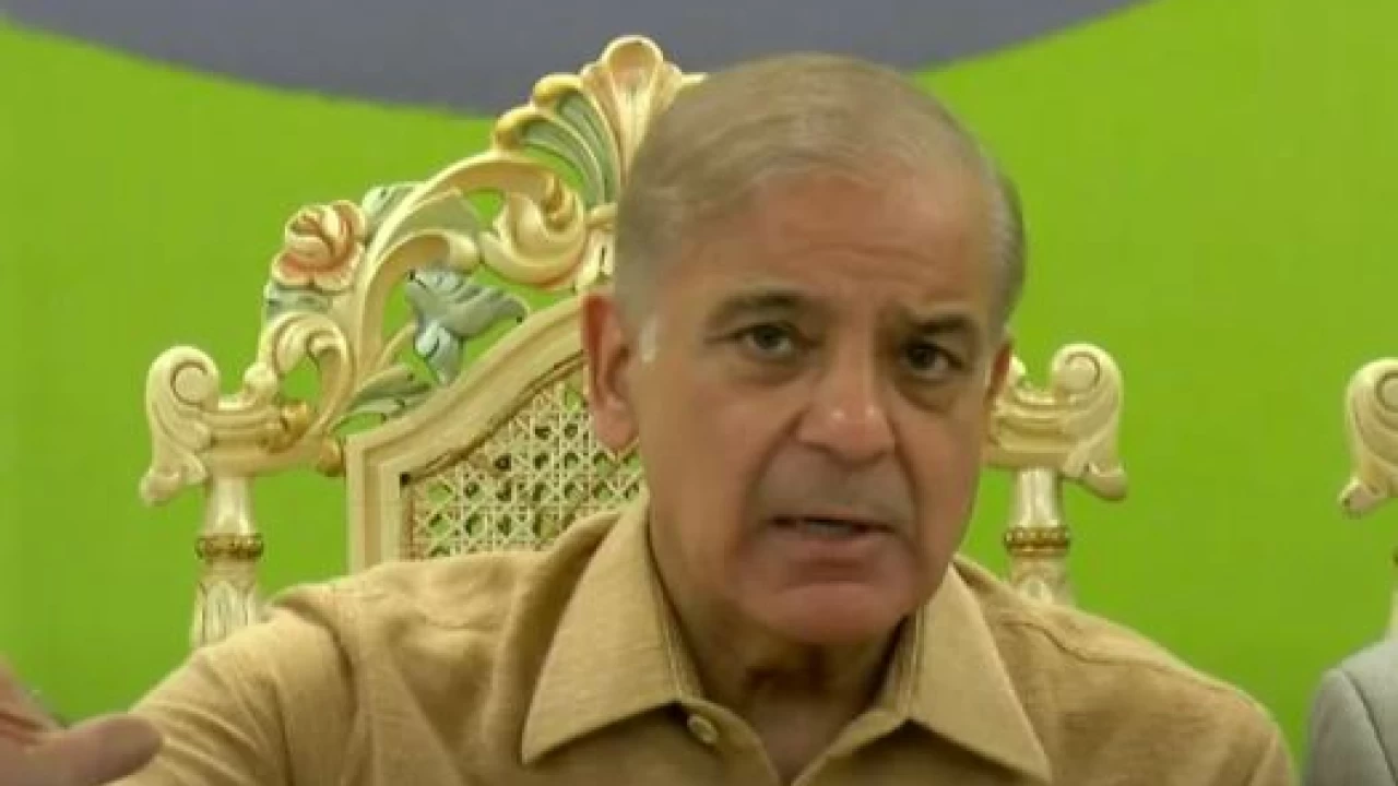 'Blue-eyed' got unprecedented support from 'institutions' but failed to deliver" Shehbaz