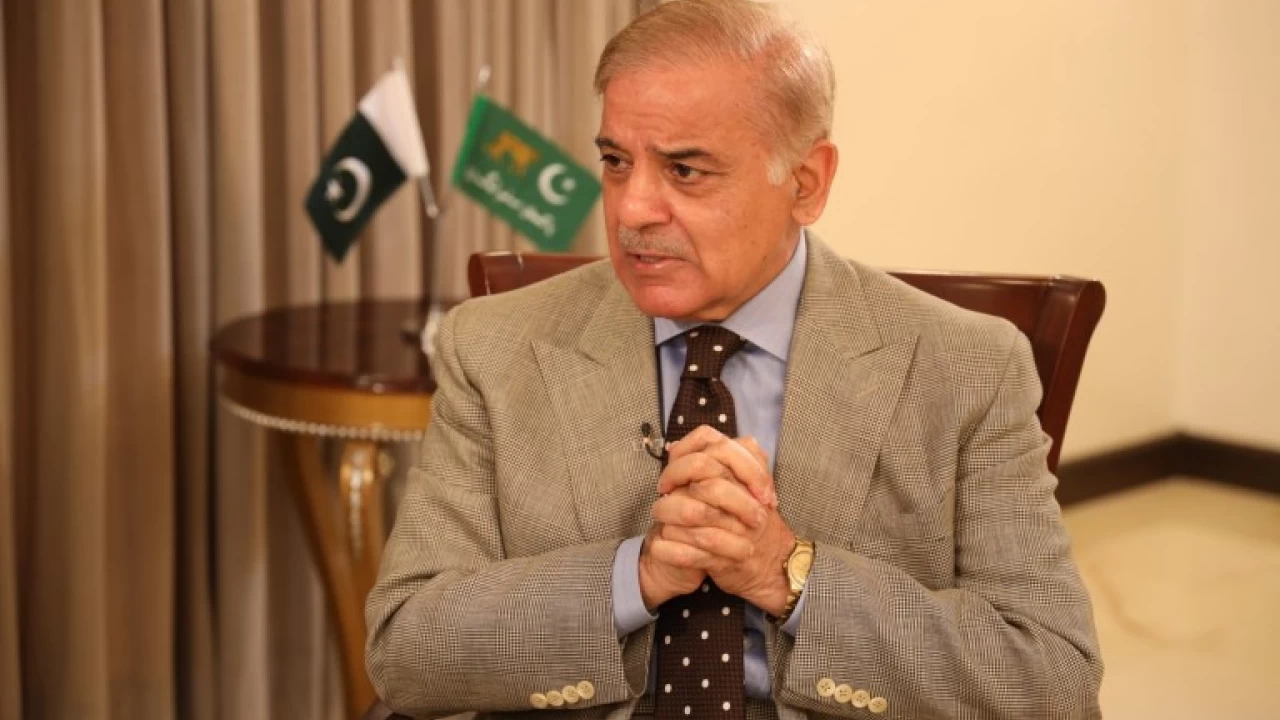 All state organs should act within domains stipulated by constitution: PM Shehbaz Sharif 