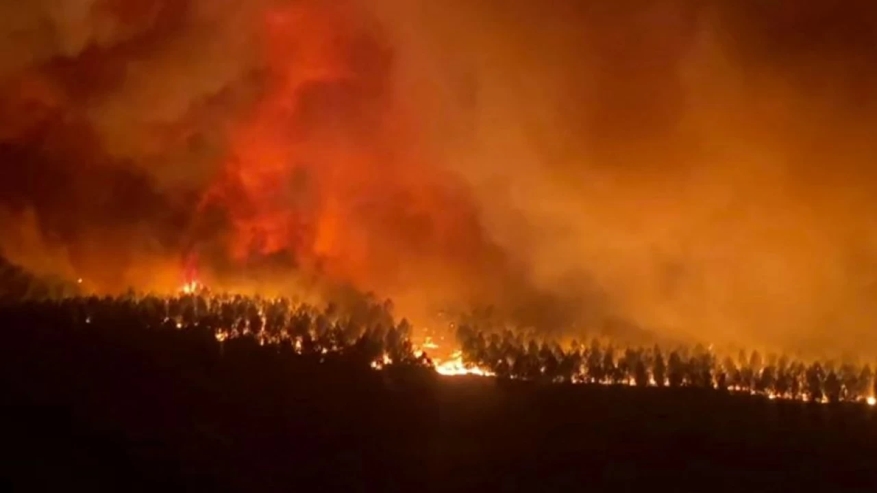 Thousands evacuate homes as wildfires rage in France