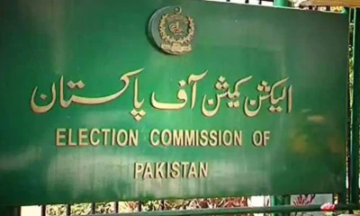 Filling of nomination papers for NA-31 continues: EC