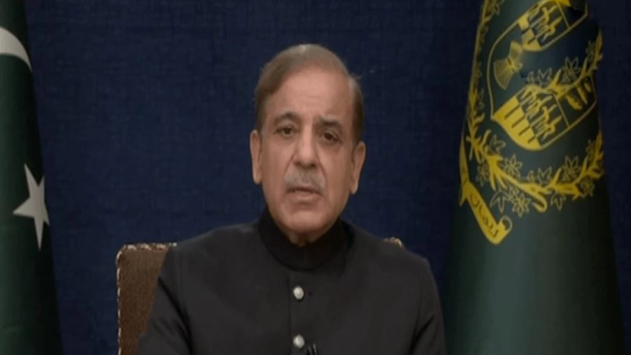 Independence Day: PM Shehbaz reiterates his call for 'charter of economy'