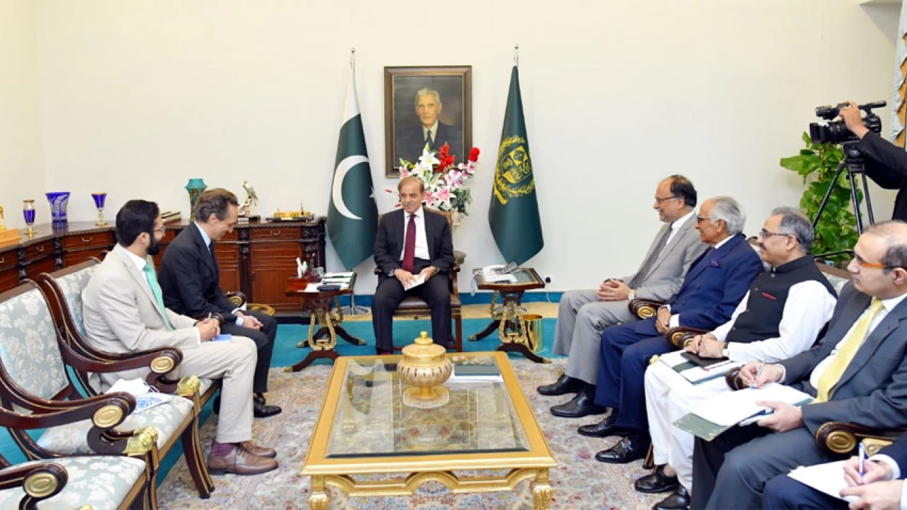 PM Shehbaz Sharif underscores Pakistan's firm commitment to purposes & principles of UN Charter