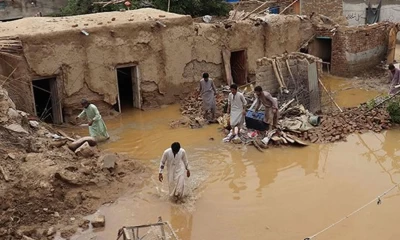 KP: Six killed in torrential rains related incidents