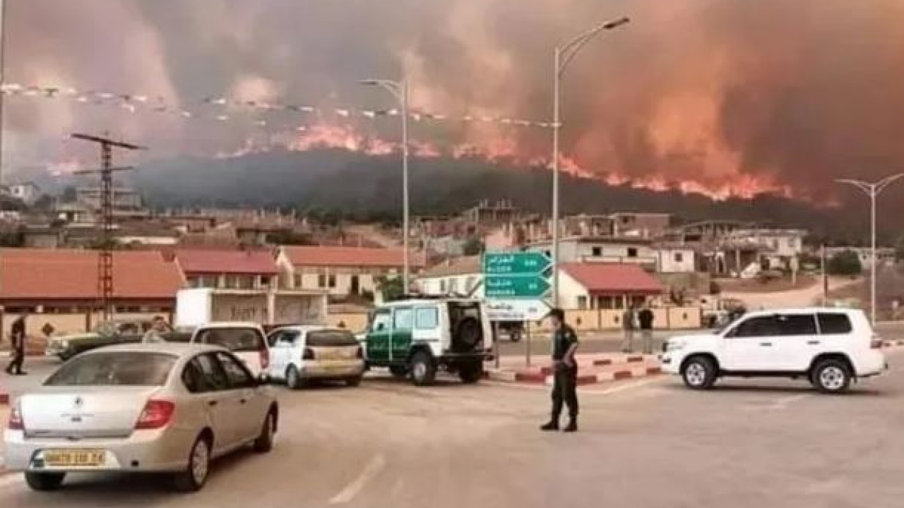 الجزائر کی دو ریاستوں میں خوفناک آتشزدگی، 26 افراد ہلاک