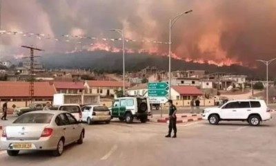 الجزائر کی دو ریاستوں میں خوفناک آتشزدگی، 26 افراد ہلاک