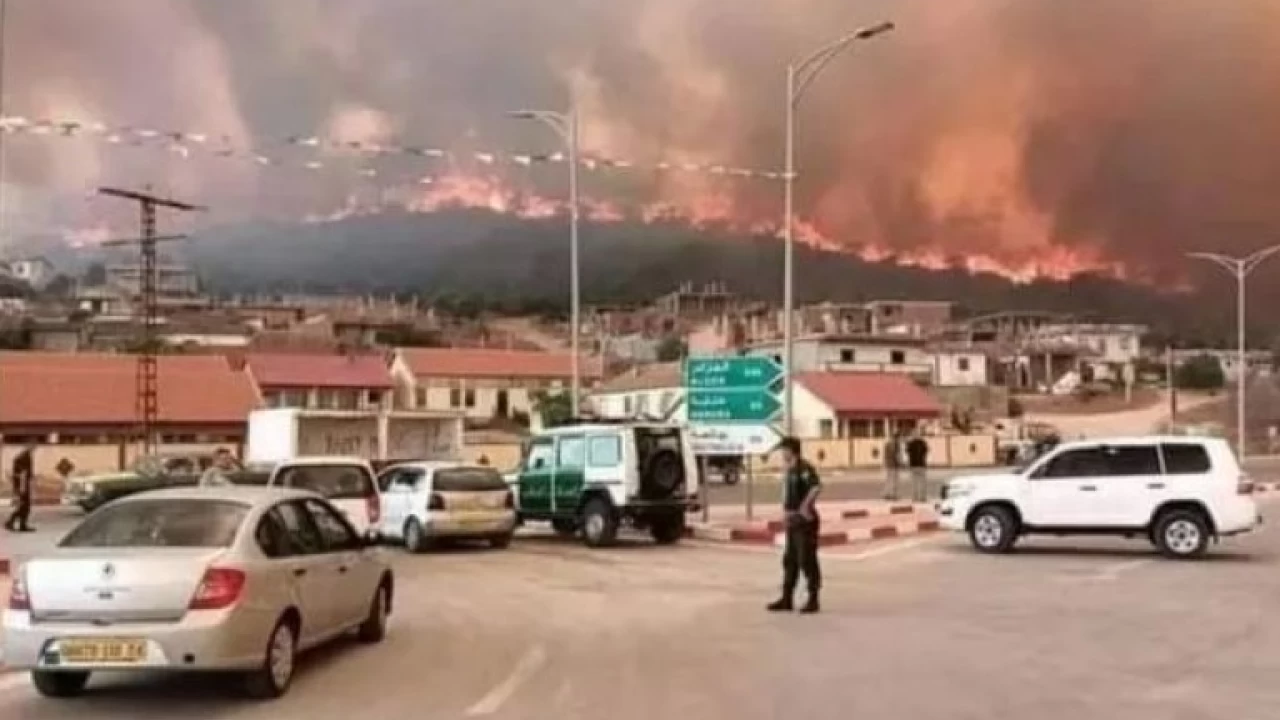 At least 26 killed, dozens injured in northern Algeria forest fires 