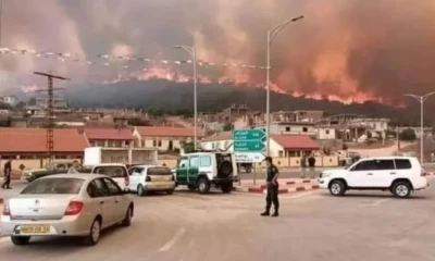 At least 26 killed, dozens injured in northern Algeria forest fires 