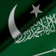 Pak-Saudi Arabia agree to improve coordination to deal with common challenges