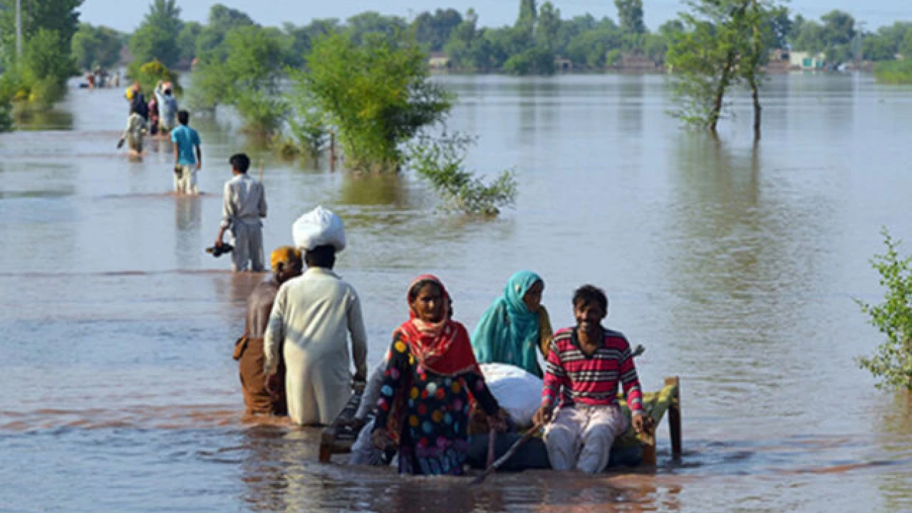 Torrential rains, flash floods in Punjab claim 151 lives: PDMA