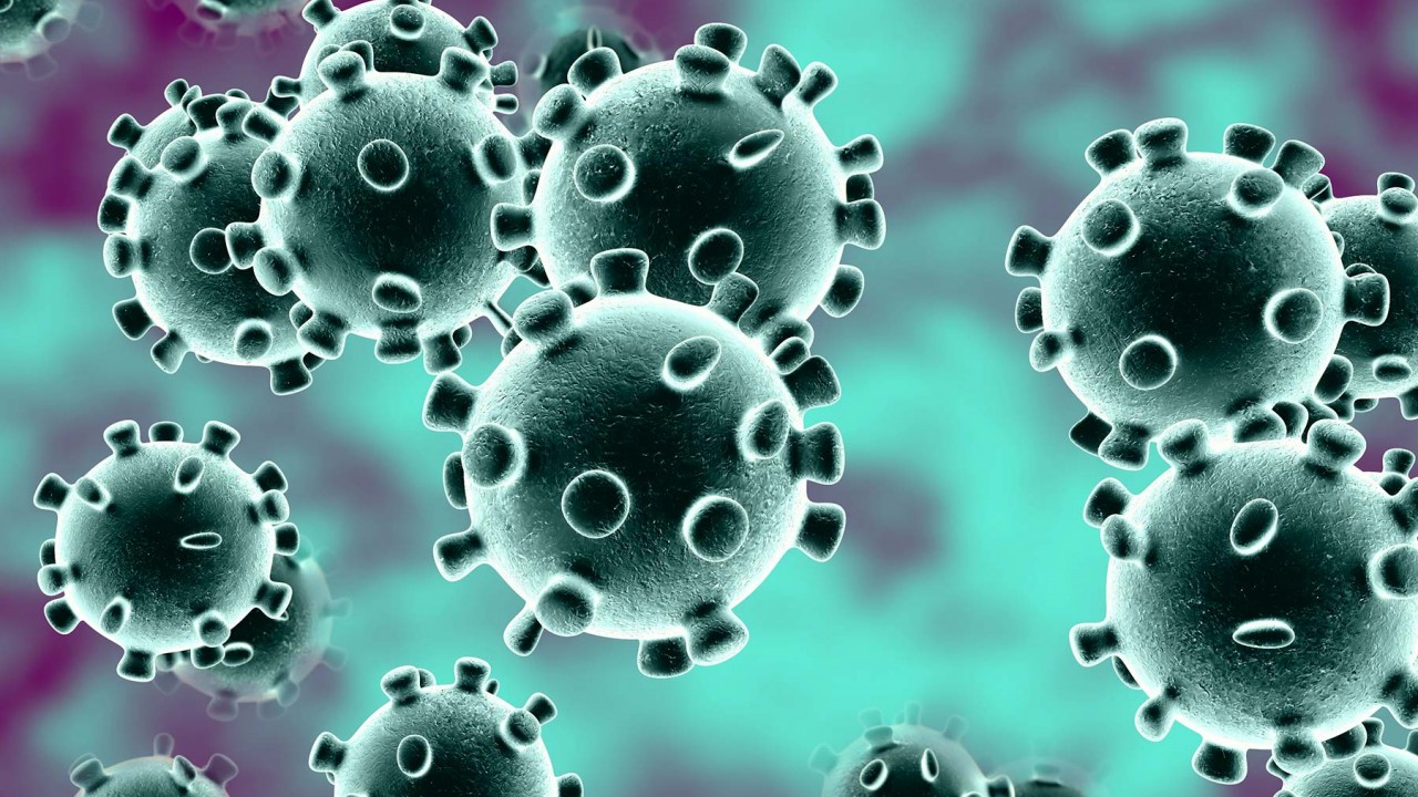 سندھ میں گزشتہ 24 گھنٹوں کے دوران کورونا وائرس سے12اموات رپورٹ ہوئی ہیں: وزیراعلیٰ سندھ