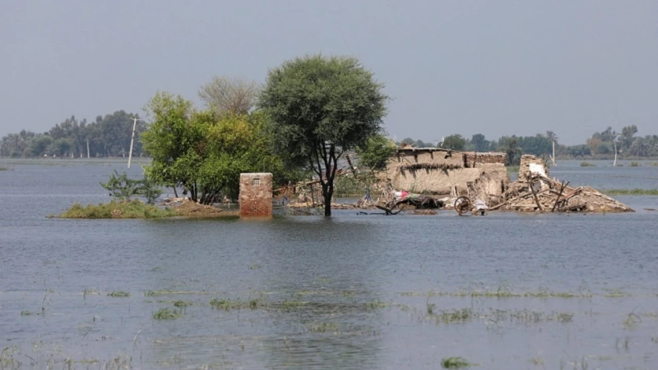 Floods in Pakistan leave 1,162 dead, 3,500 injured: NDMA