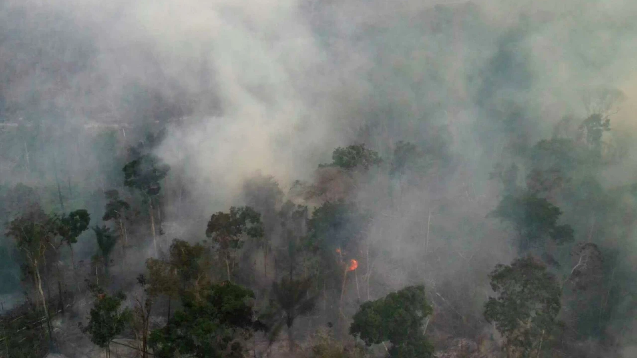 Number of Brazil Amazon fires hits five-year high in August