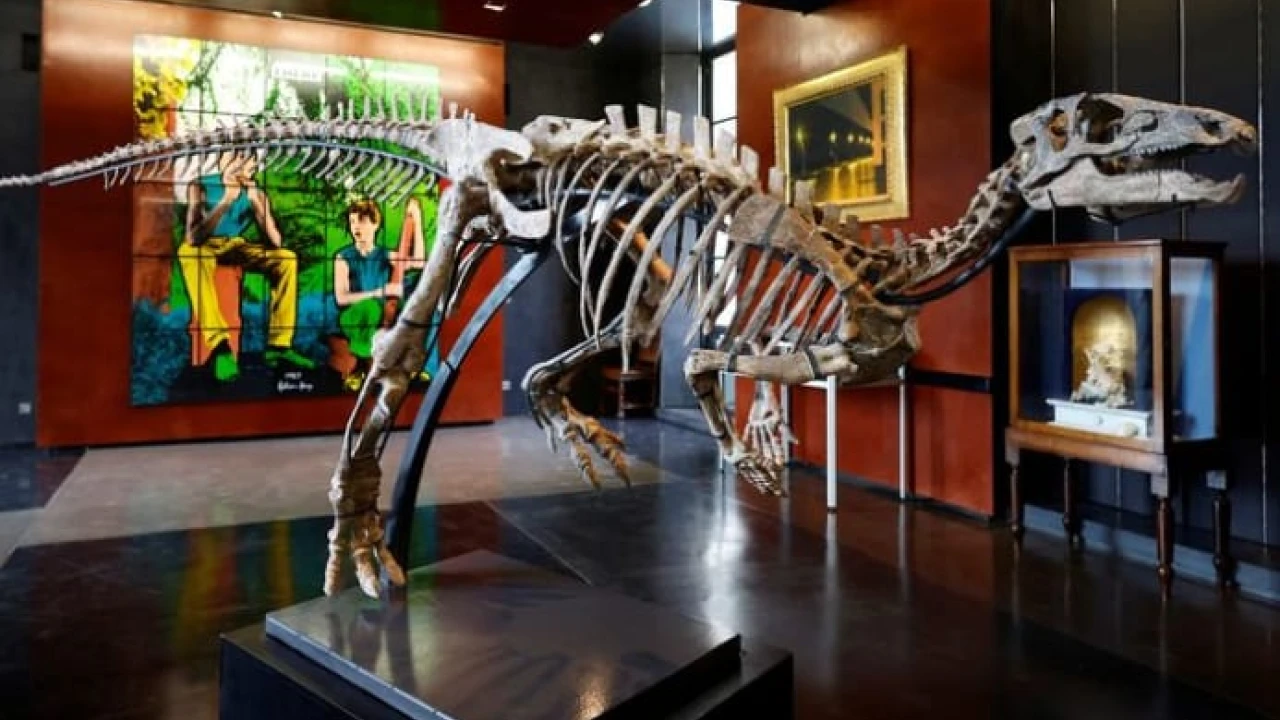 Small dinosaur skeleton to be sold at Paris auction