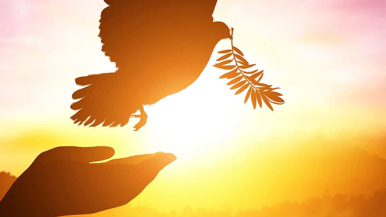 World Peace Day being observed today