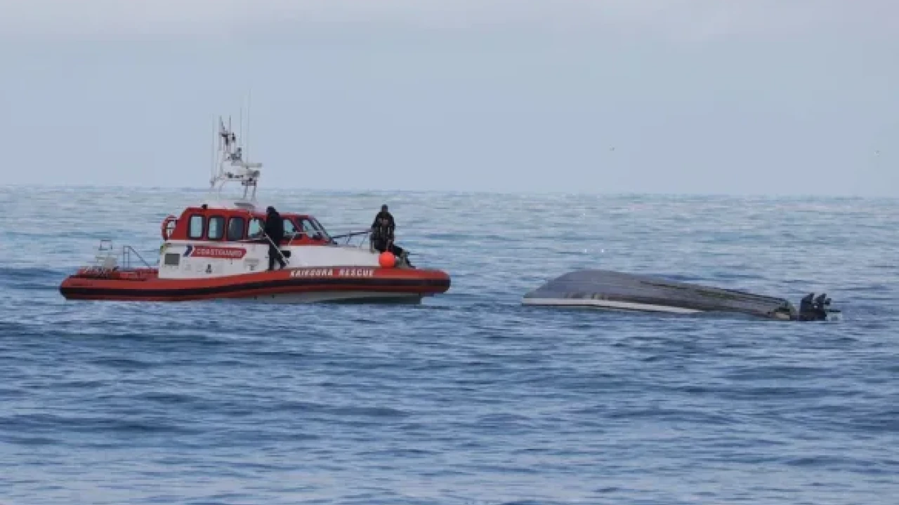 New Zealand: Five killed in suspected boat-whale collision 