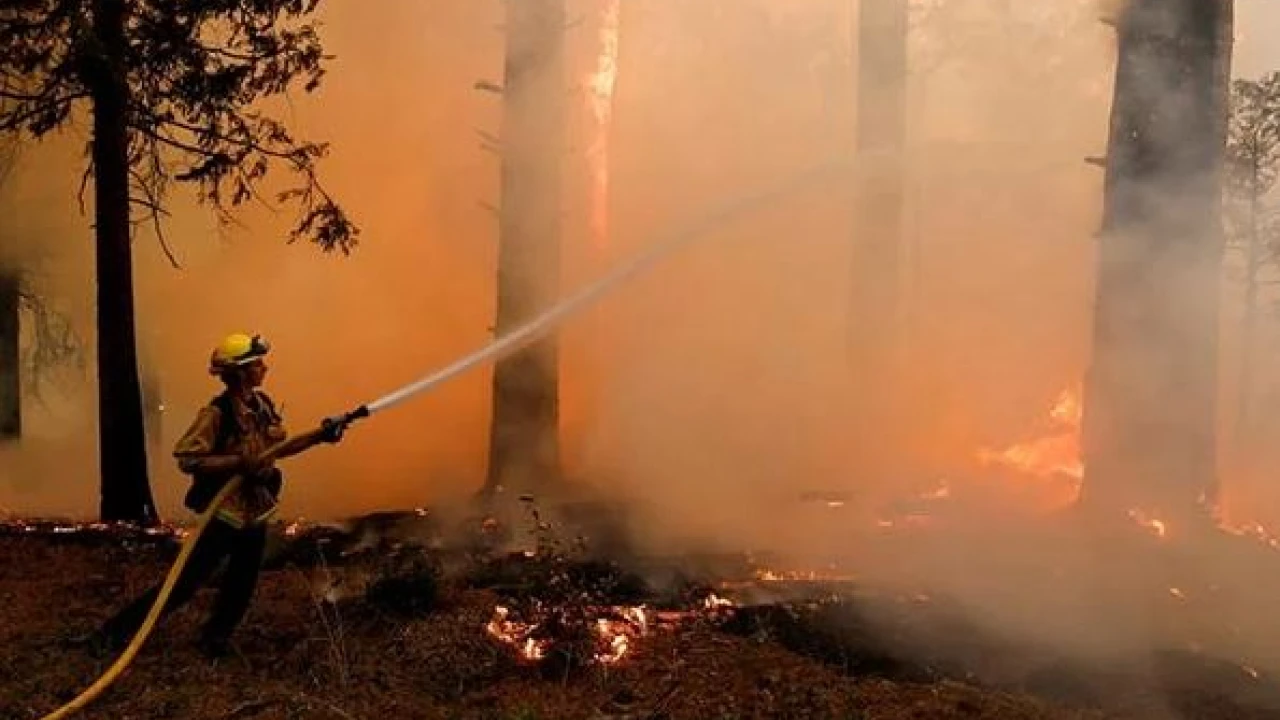 New wildfire spreading in central California Mountains