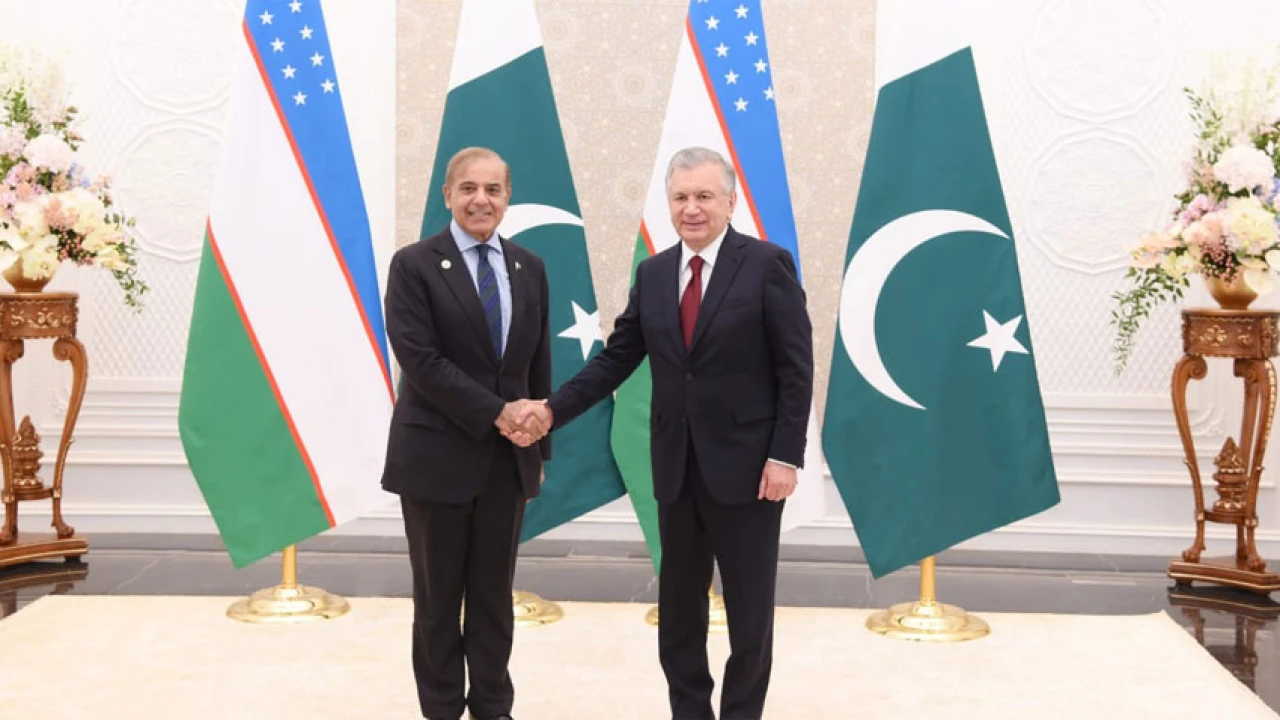 PM, Uzbek President discuss bilateral relations