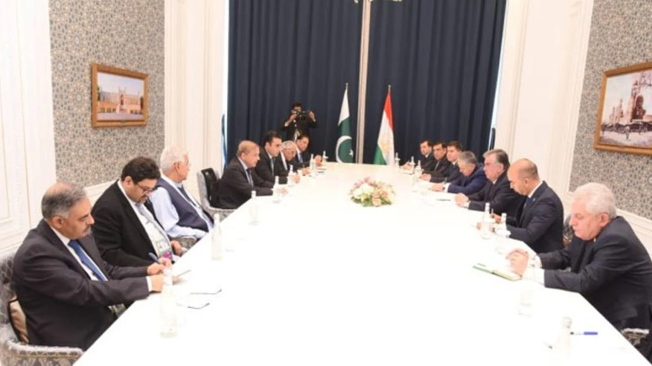 PM, Tajik president discuss bilateral, regional matters