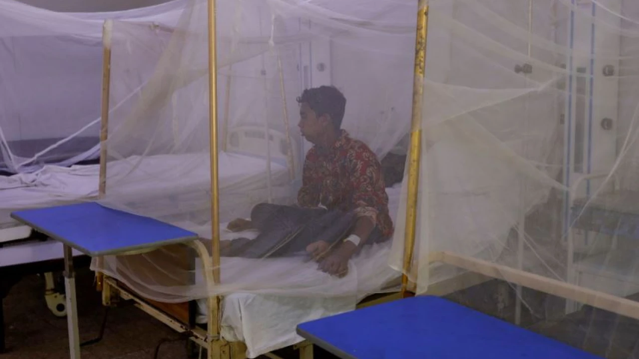 Malaria spreading fast in Pakistan's flood-ravaged regions: officials