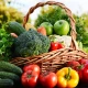 ‘Science-backed’: World’s most nutritious foods