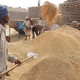 اس وقت ملک میں گندم کی کوئی قلت نہیں، این ایف آر سی سی