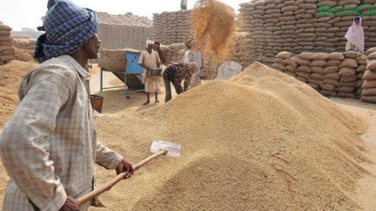 Country is having sufficient wheat stocks: NFRCC