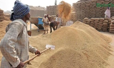 Country is having sufficient wheat stocks: NFRCC