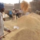 Country is having sufficient wheat stocks: NFRCC