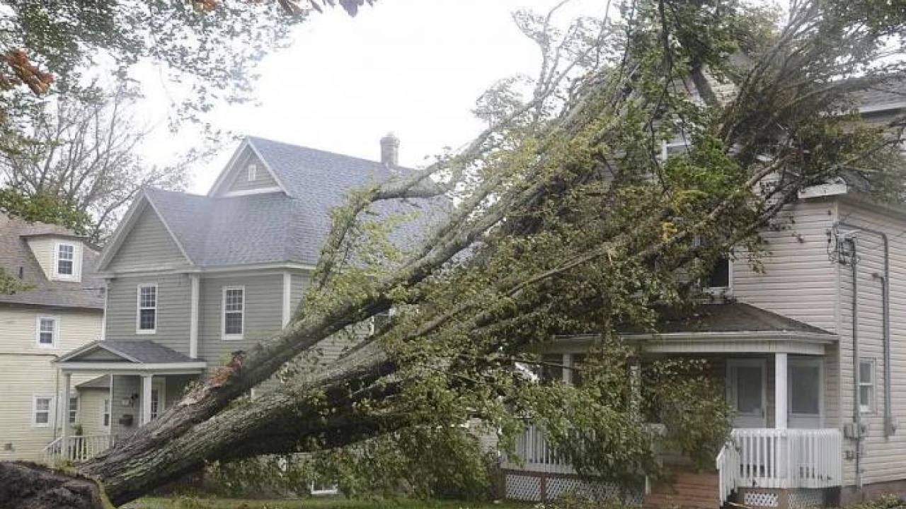 Powerful storm Fiona hits Canada's Nova Scotia, causing 'terrifying' destruction