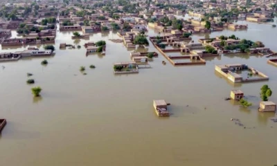 Death toll from devastating floods reaches 1,638: NDMA