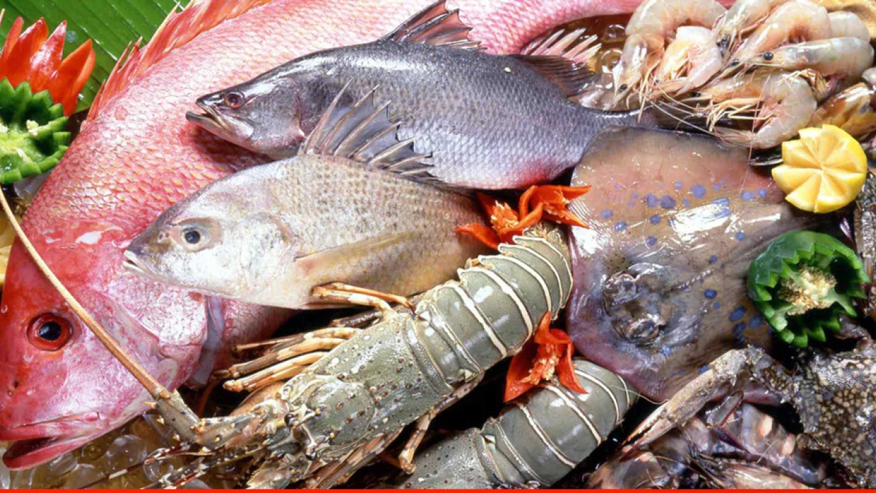 Pakistan's seafood exports soar 52pc to $37.9 million in two months