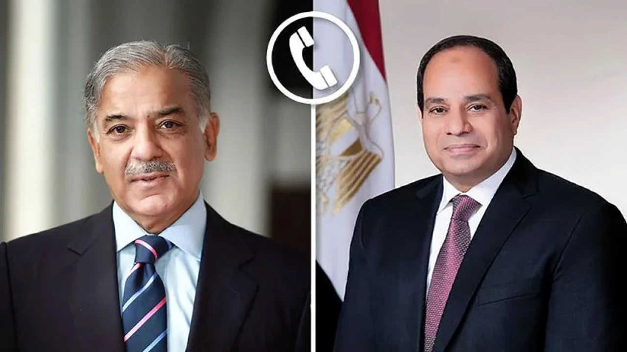 PM, Egyptian President discuss matters of mutual interest