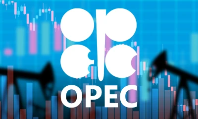 OPEC+ to slash oil production by 2 million barrels per day despite US pressure